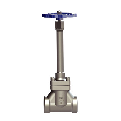 CRYOGENIC GLOBE VALVE DJ（G/P）