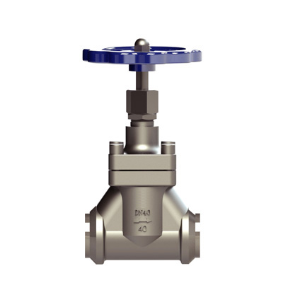 CRYOGENIC GLOBE VALVE DJ-GA/GK