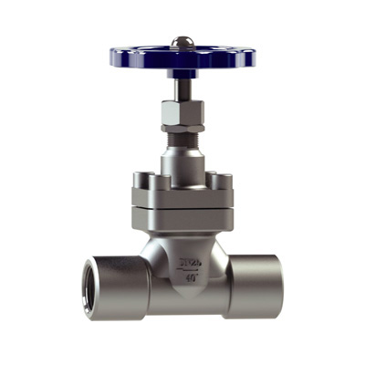 CRYOGENIC GLOBE VALVE DJ-NPT